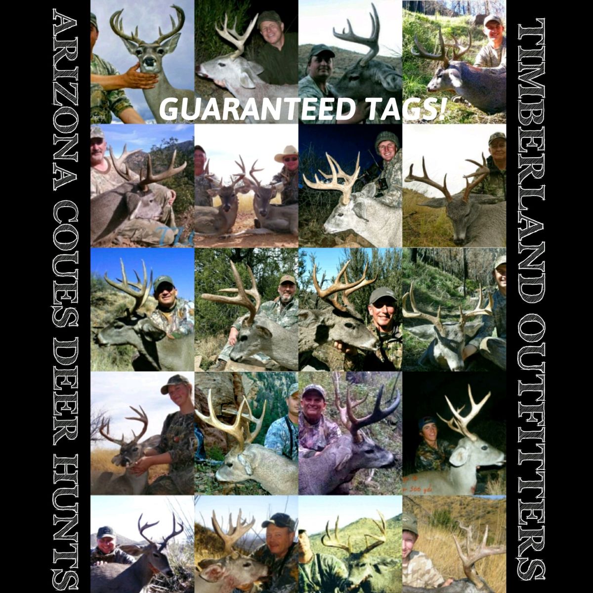 Guaranteed Couse Deer Tags