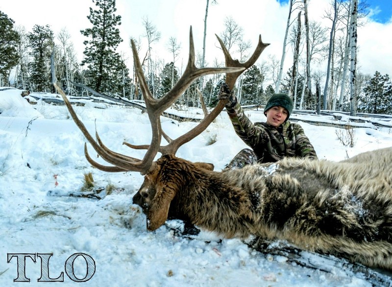 Elk Hunting in Arizona