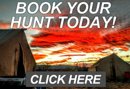 Book your Arizona Hunting Trip