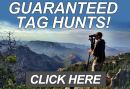 Guaranteed Arizona Tag Hunts