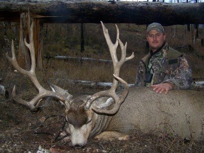 mule-deer-photos