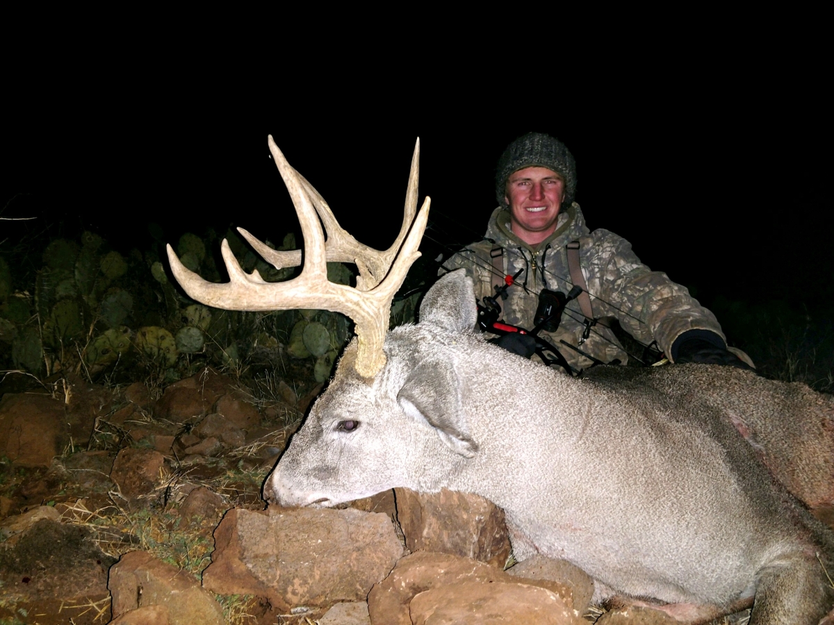 coues-deer-photos