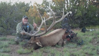 elk-hunts