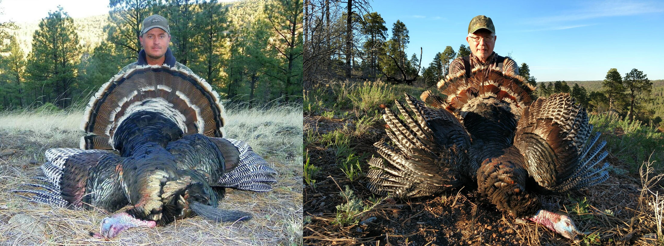 Arizona Hunts