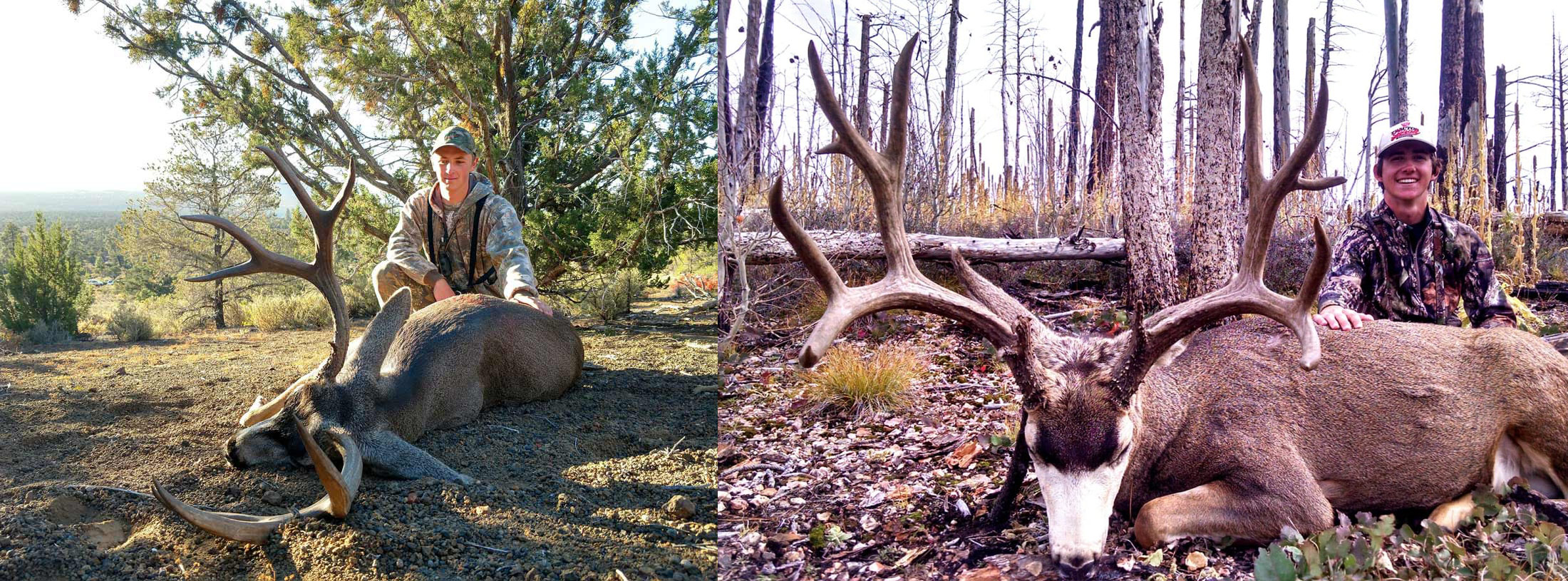 Hunts in Arizona