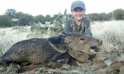 javelina-hunts